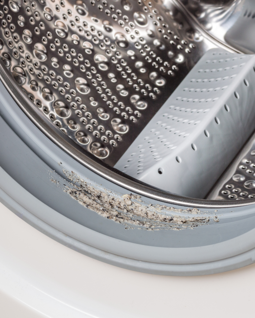 Dirty washing machine door seal.